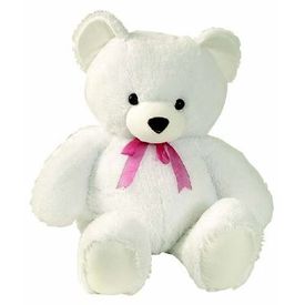 Cute Small Teddy for Rs.49 (Shipping Included)