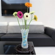 Yumdeals : Magic Flower Vase for just Rs.30