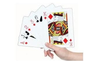 Plastic Playing Cards (Pack of 2) for Rs.99 @ Shopclues