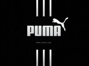 PUMA Products up to 60% off + Extra 30% Off @ Myntra