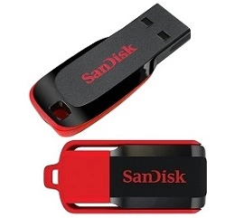Sandisk Cruzer Blade / Switch 16 GB Utility Pendrive