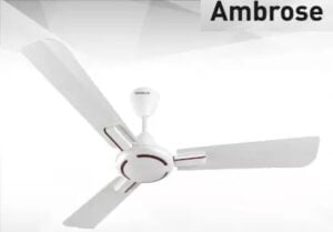 Havells Ambrose 1200 mm with Remote Control 5 Star Decorative BLDC Ceiling Fan (Double Ball Bearing)