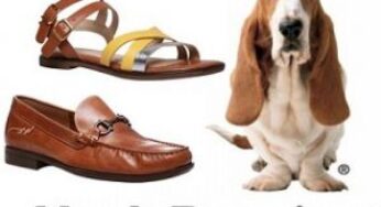 Flat 50% Off on Hush Puppies Footwear for Men & Women