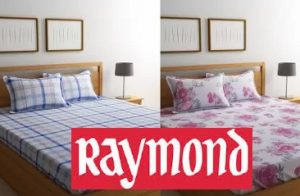 Raymond Bedsheet - Min 60% off