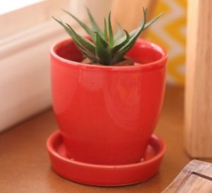 Red Ceramic Glazed Table Top Planter for Rs.129 @ Amazon