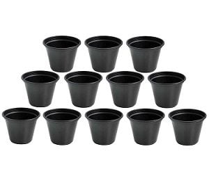 Novicz Plant Pot (Pack of 12) for Rs.188 – Amazon
