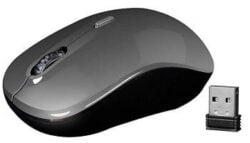 Zebronics Zeb -Dash Wireless Optical Mouse