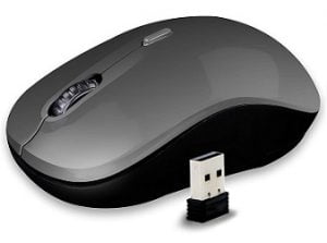 Zebronics Zeb-Zoom Wireless Mouse