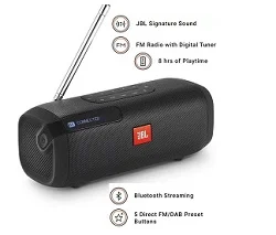 JBL TunerFM Portable Bluetooth Speaker