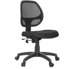Townsville Kew Ergonomic Fabric Chair with Adjustable Height (80 Kilograms)