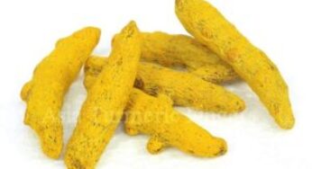 Asia Turmeric Fingers, HALDI (1 kg) for Rs.220 @ Amazon