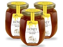 DR. MOREPEN Natural & Pure Honey NMR Tested & No Sugar Adulteration Pack of 3 - 250g Each