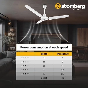 Unleash the Power of Efficiency: Exploring the BLDC Motor Technology in atomberg Efficio Alpha Ceiling Fans (5 Star Rated) for Rs.2499 @ Amazon